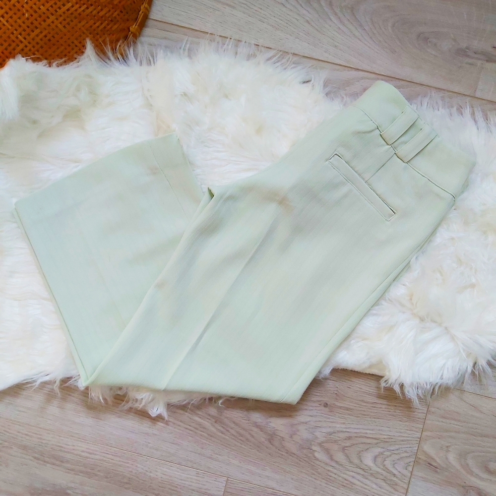 Suzy shier minty green capri dress pants